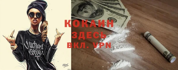 дживик Абаза