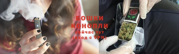 дживик Абаза
