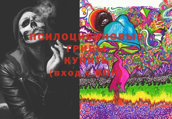 дурь Алексин