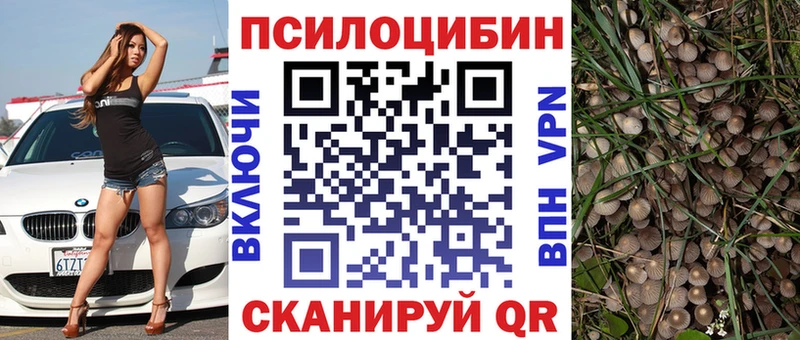 блэк спрут зеркало Канск Псилоцибиновые грибы Magic Shrooms