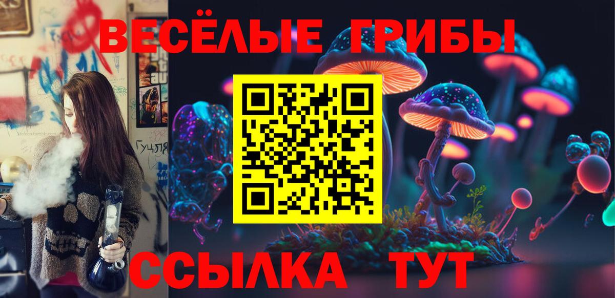 Псилоцибиновые грибы прущие грибы Канск