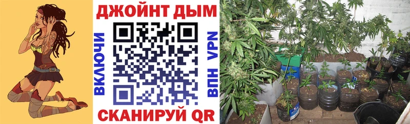 МАРИХУАНА Bruce Banner Канск