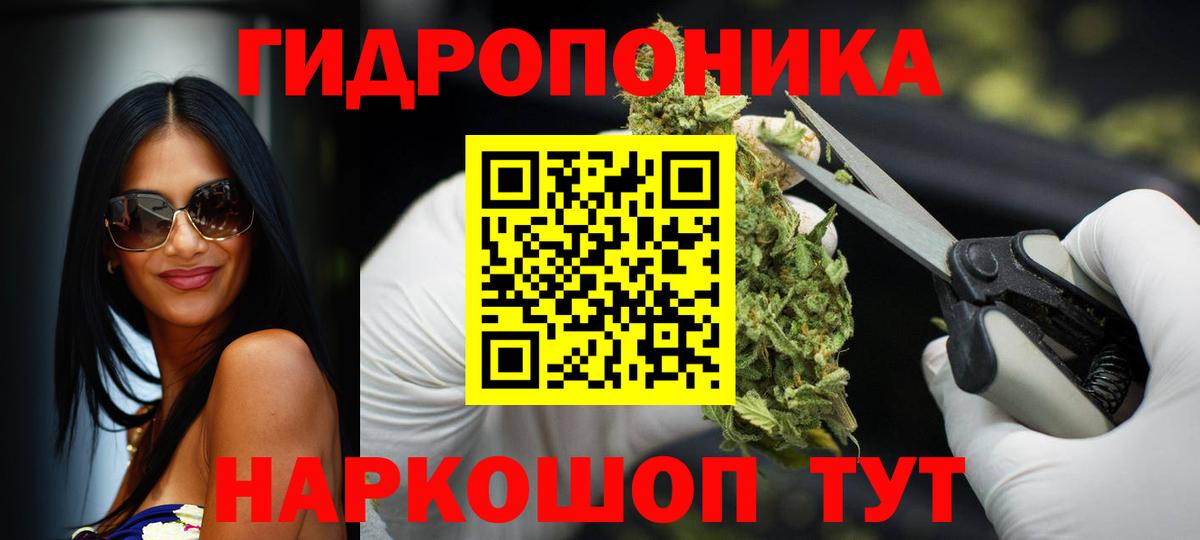 Бошки Шишки планчик Канск